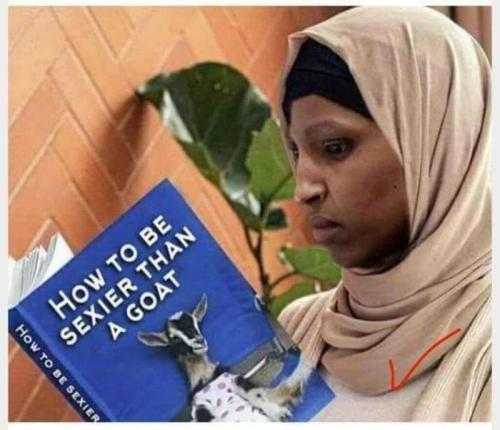 0202cead86717922ed807e246968e356