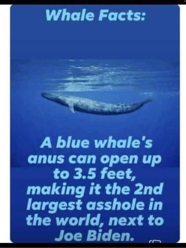 279730550_692179002103600_137128522640357006_n