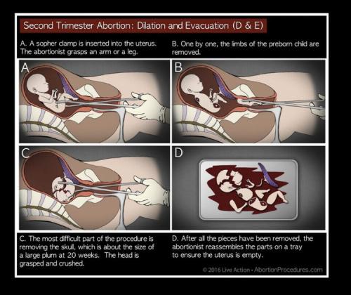 c0f4ed7c-4703-41e3-bc31-83009b684535