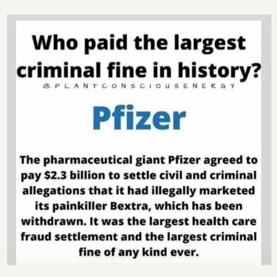 pfizer guilty