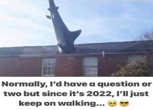 FB_IMG_1651898359022