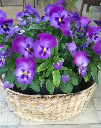 FB_IMG_1651342815252