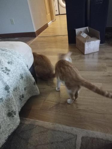 IMG_20220503_173809_584