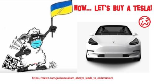 BUY A TESLA