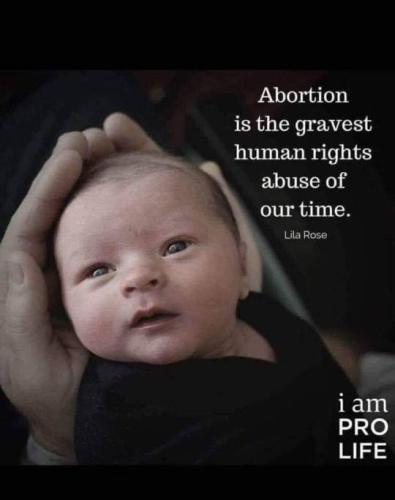 247386569_106368148511062_8950911982034656813_n