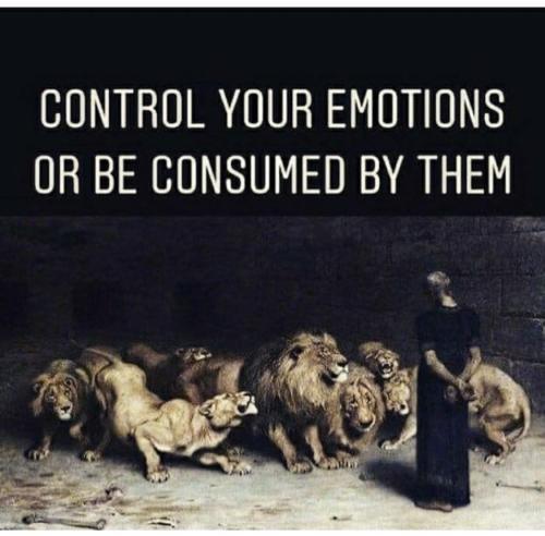 photo5109594950374369894