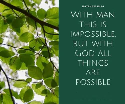 Bible-verses-about-not-quitting-1-768x644.jpg