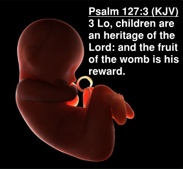 41 Psalms 127.3