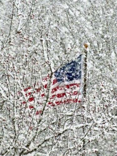 Flag - Through snow-covered trees 2