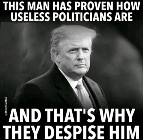 trump politicians are useless