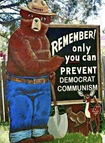 thisisacutememe