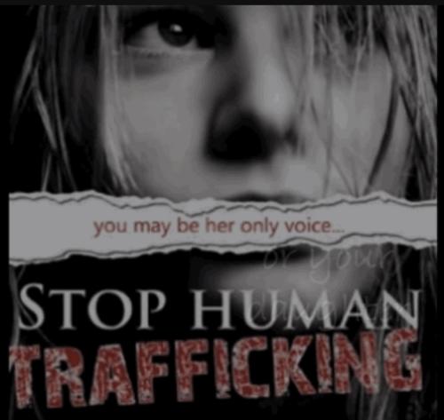 21B398E3-6C9E-49A2-85BC-782E2B2EC520