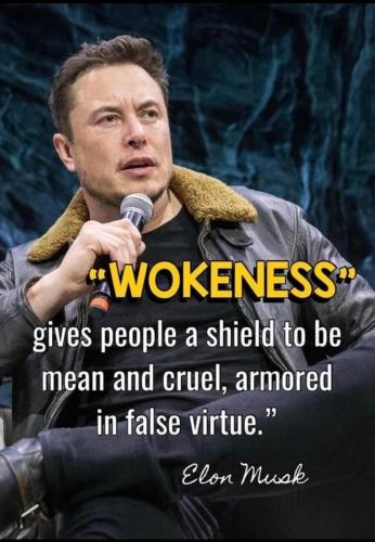 WokenessGivesPeopleShieldToBeMeanElonMusk