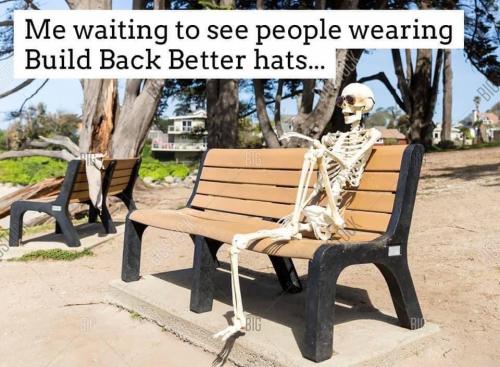 Build back Better