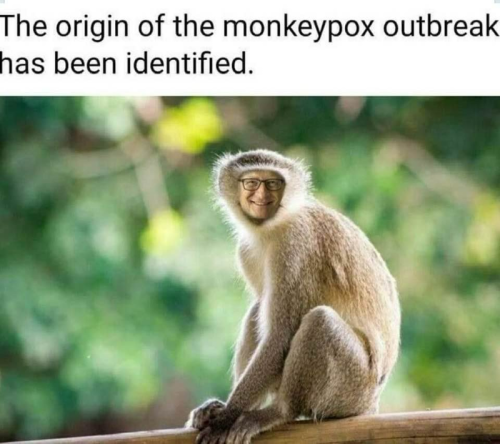 291e54ef6c14b15ea6019958965984f1_500