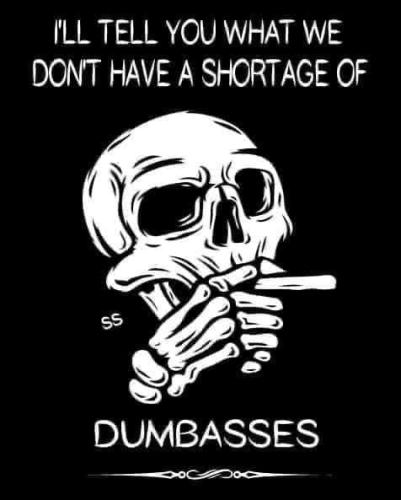 Dumbasses
