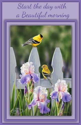 FB_IMG_1651151637351