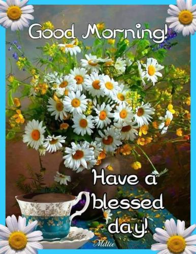 FB_IMG_1652185461542