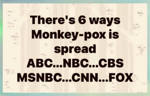 6 Ways To Monkeypox