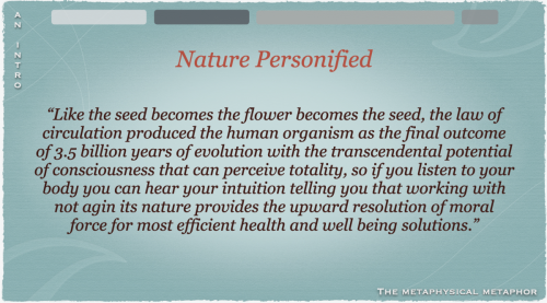 Screen Shot 2022-05-12 at 10.56.15 AM