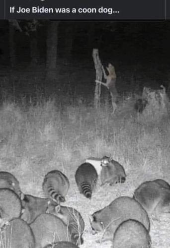 img - 2022-05-21T143417.791