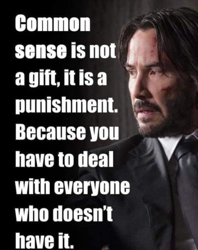 5668411F-BACA-4E12-9B24-0847FFFB301C