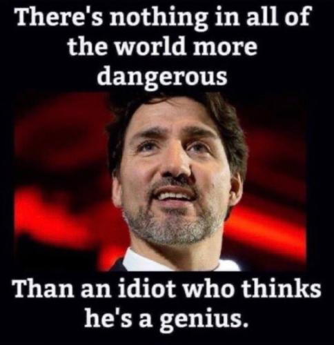 0cfc71c19782d3881707c9d352012e71_500x0