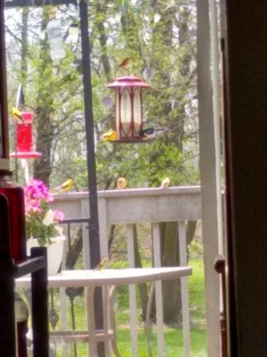 IMG_20220511_124055435_HDR