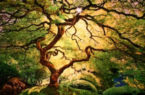 Screenshot_20220301-024015_Google