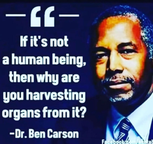 1652194313107_hub_od_