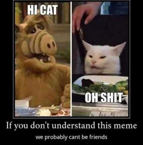 gf2dvdZQoSPZmbdGwJ6l_10_3704604f7e30e881b56d958c593b74c0_image