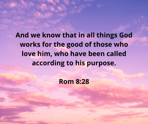 170E9D7B48762F8649B5CA548F092C54.biblec