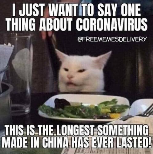 photo5181869616354405049