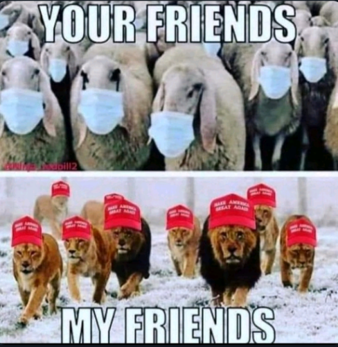 Capture+_2022-05-07-18-29-59(1)