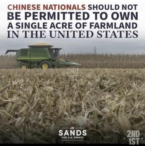 photo5168311255004457431