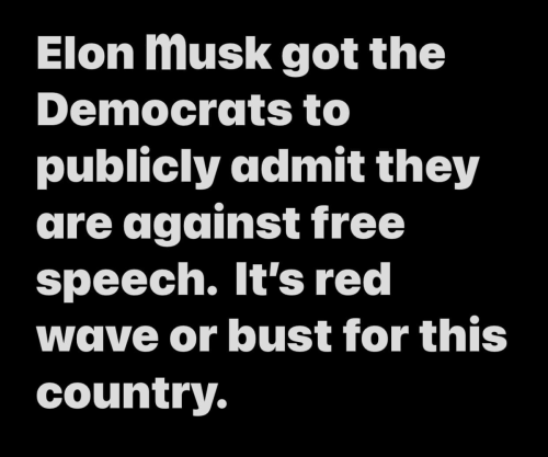 M Elon Musk