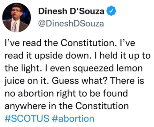 dinesh on constitution