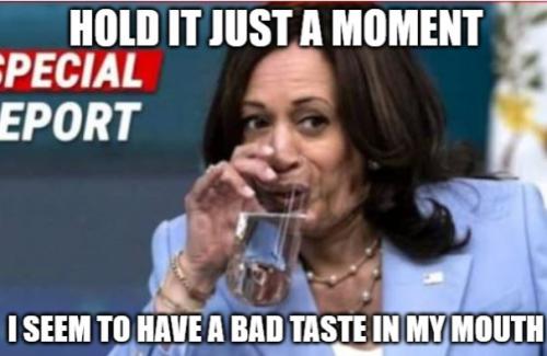 bidenhohobadtastewcap