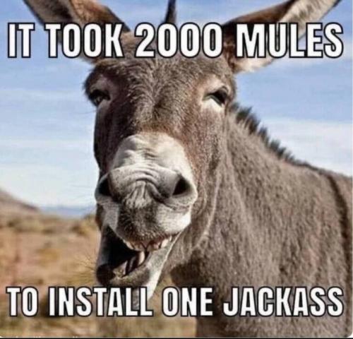 Jackass