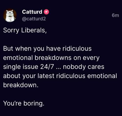 Boring Liberals