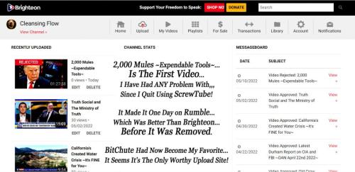 2,000 Mules ~Expendable Tools~ Rejection Hurts