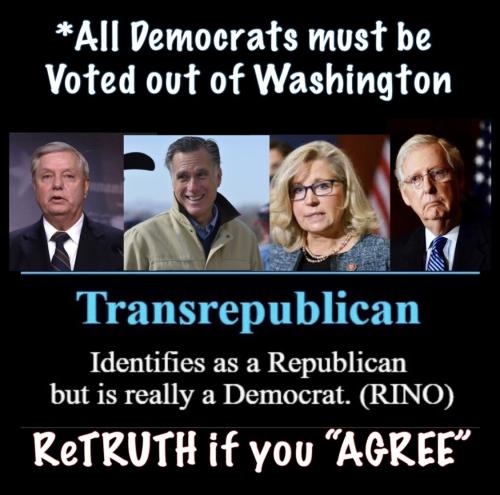 C8EE8CF8-4AE3-4AE0-B3E6-D9BCF75B23CE