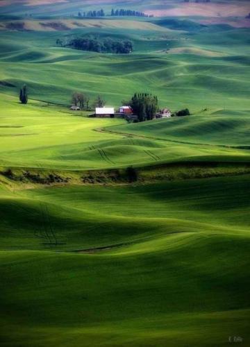 Palouse