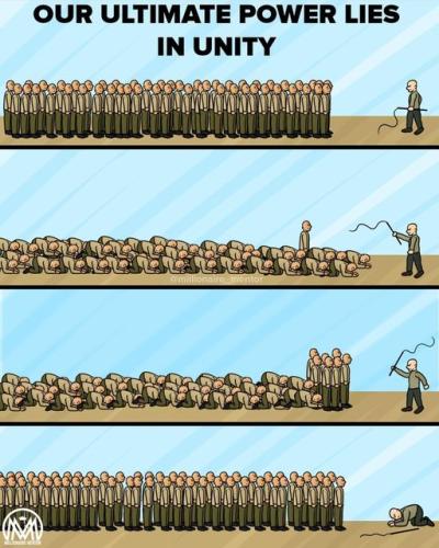 144582814_1050388018801983_6511955996115575124_o