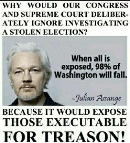 Assange 201
