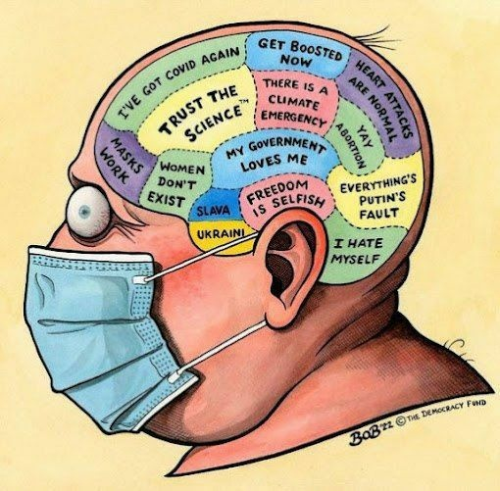 img - 2022-05-01T142651.470