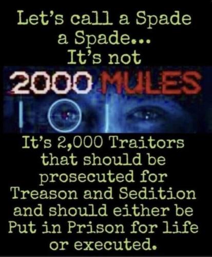 2000 Mules