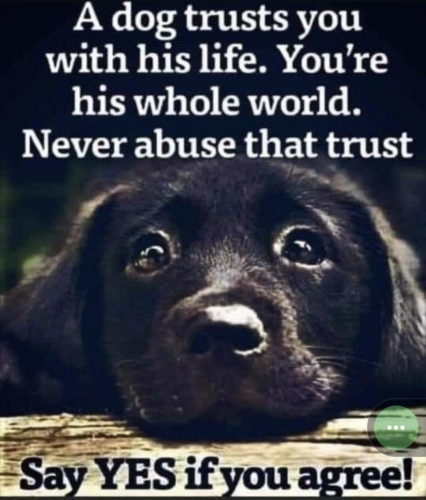 Screenshot_20220520-011540