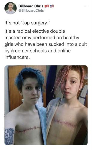 groomer caused mastectomy