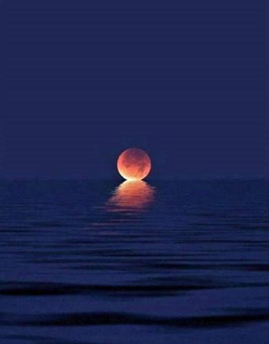 FB_IMG_1621437005990